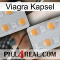 Viagra Capsule 25